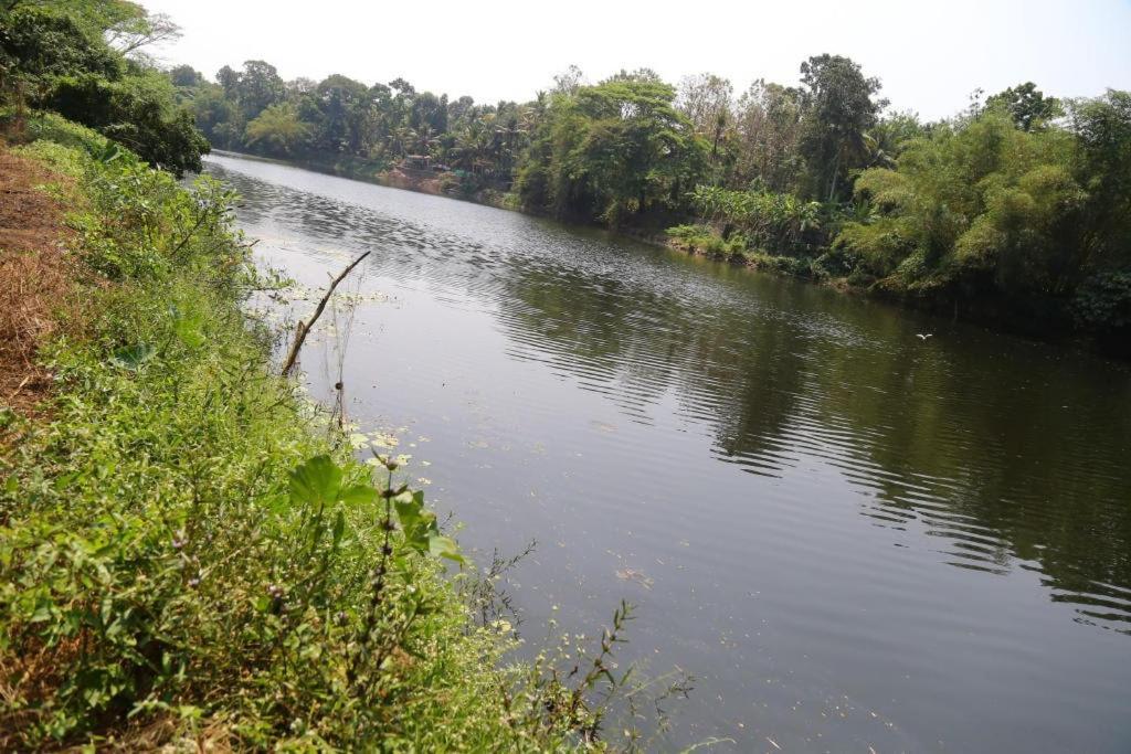 The Mana-Heritage Stay - Chengazhimattam Mana Kottayam Eksteriør bilde