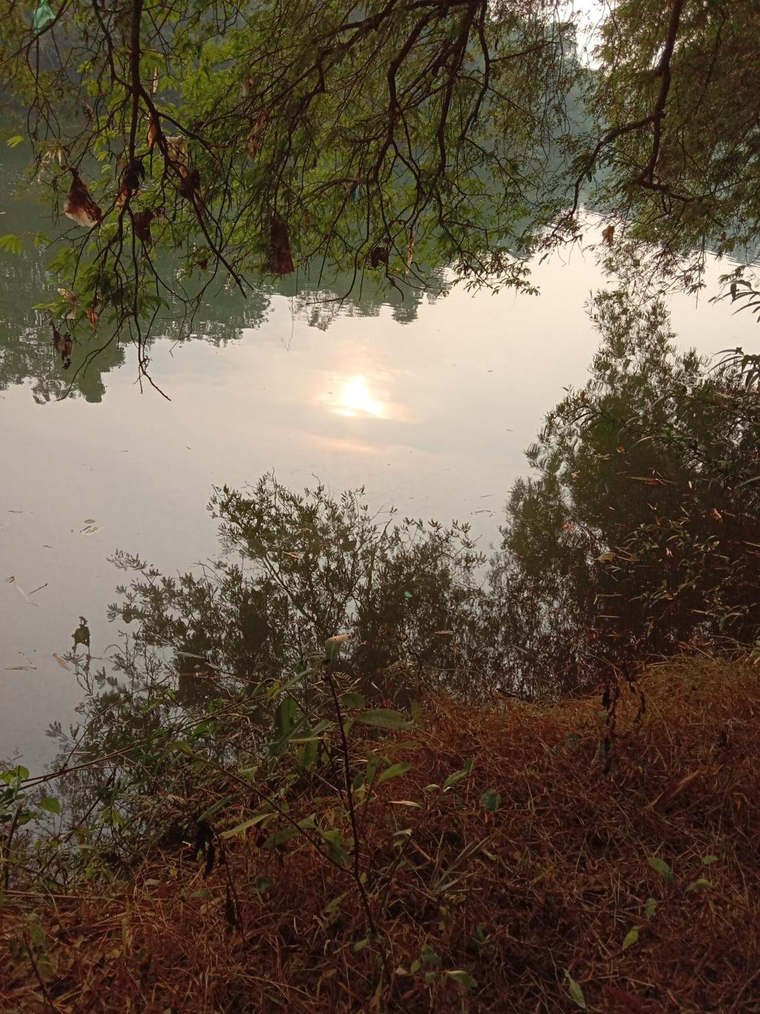 The Mana-Heritage Stay - Chengazhimattam Mana Kottayam Eksteriør bilde