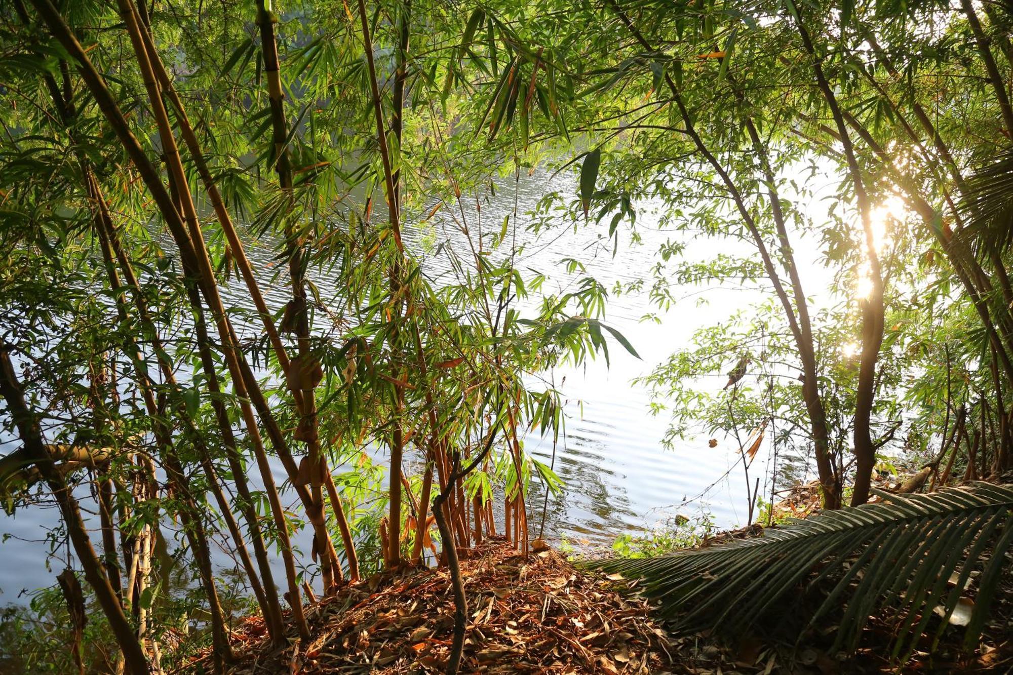 The Mana-Heritage Stay - Chengazhimattam Mana Kottayam Eksteriør bilde