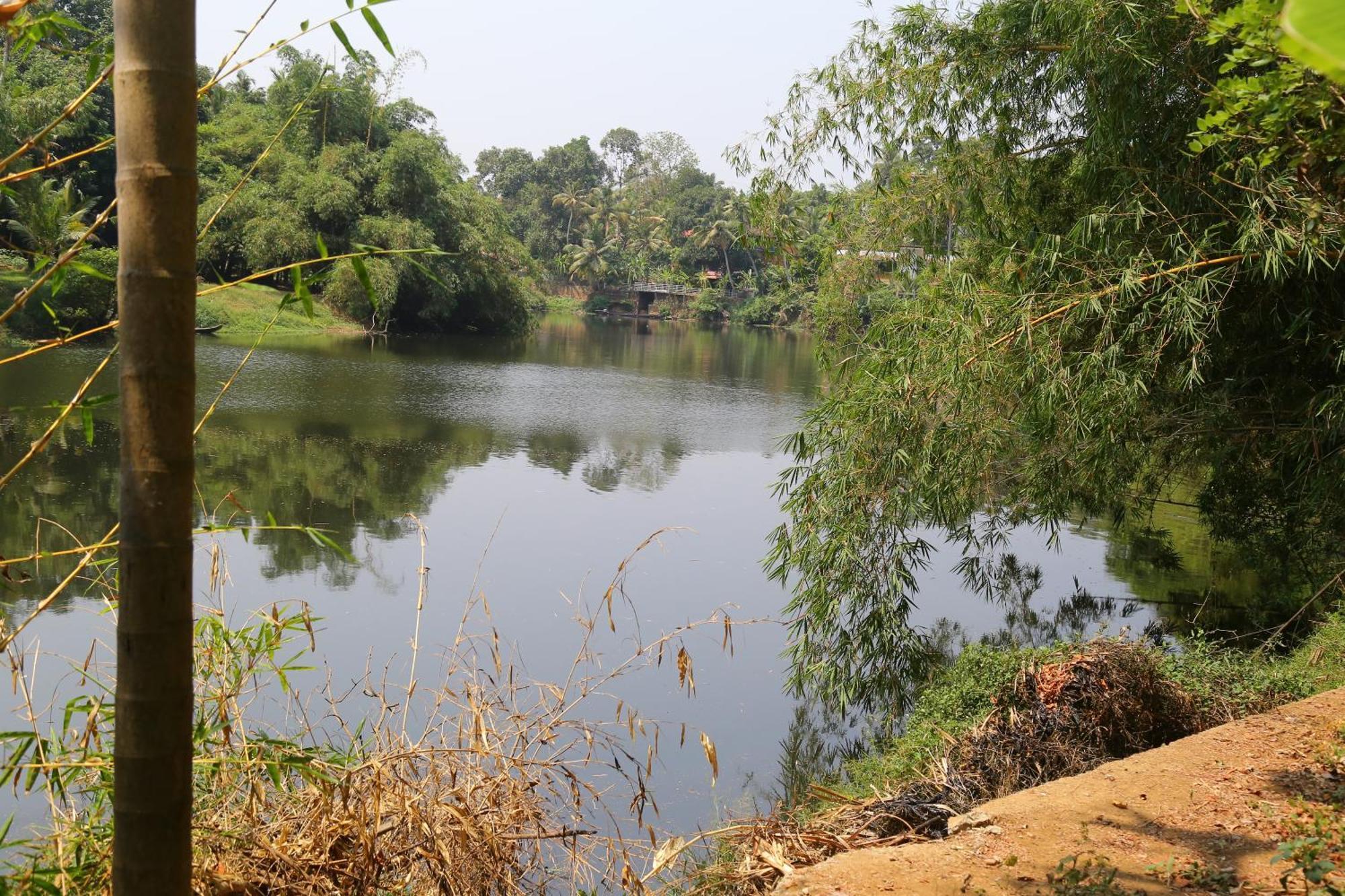 The Mana-Heritage Stay - Chengazhimattam Mana Kottayam Eksteriør bilde