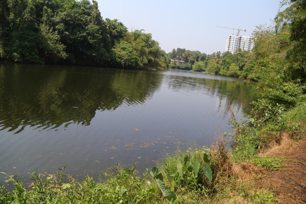 The Mana-Heritage Stay - Chengazhimattam Mana Kottayam Eksteriør bilde