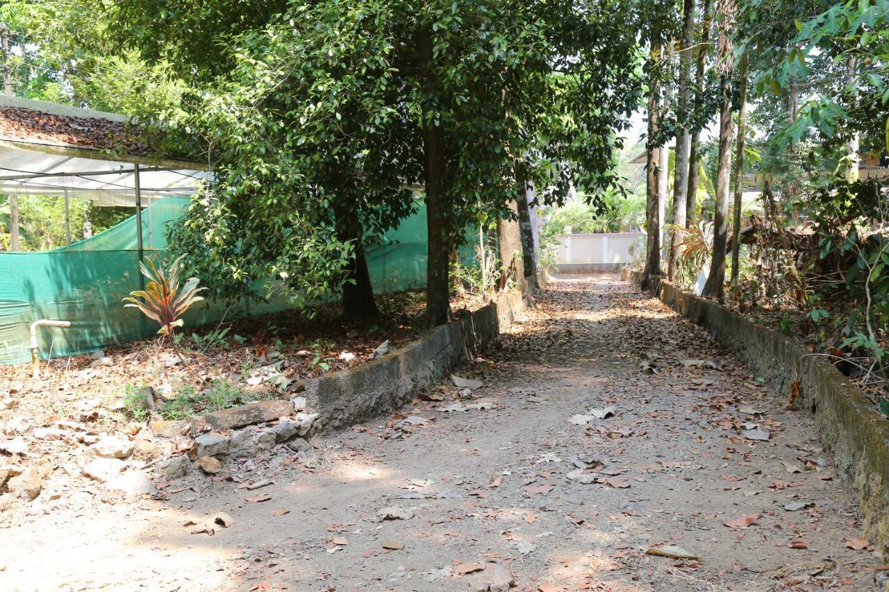 The Mana-Heritage Stay - Chengazhimattam Mana Kottayam Eksteriør bilde